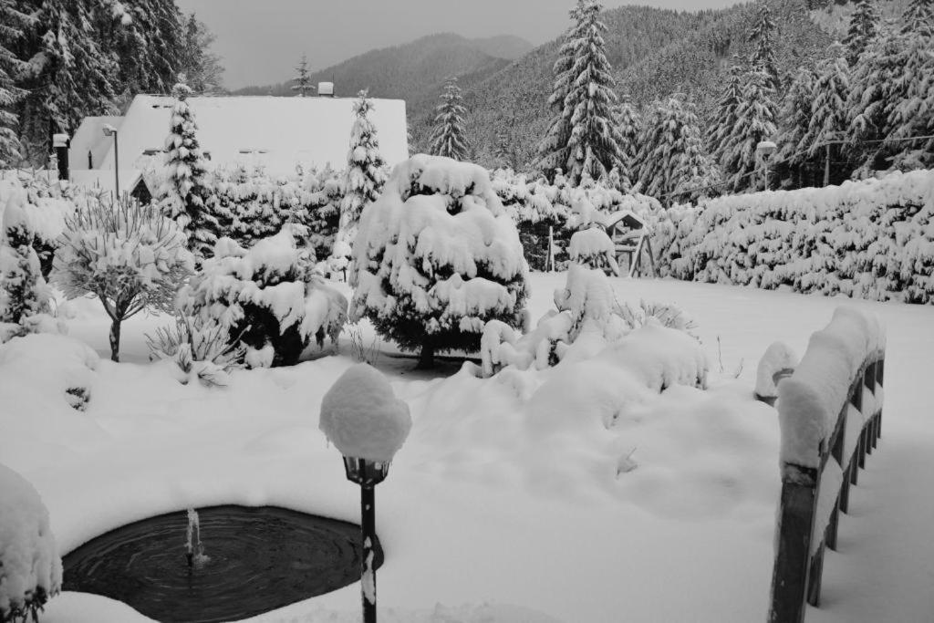 Chalets Adriana Demänovská Dolina Extérieur photo